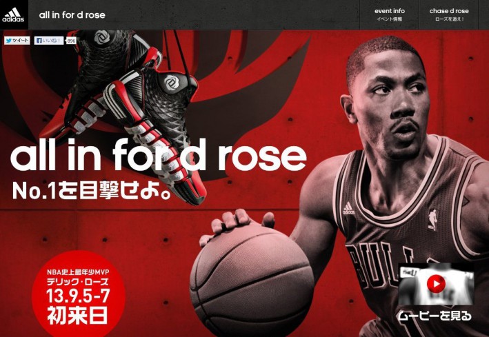 this is D Rose #2 | SHOES MASTER